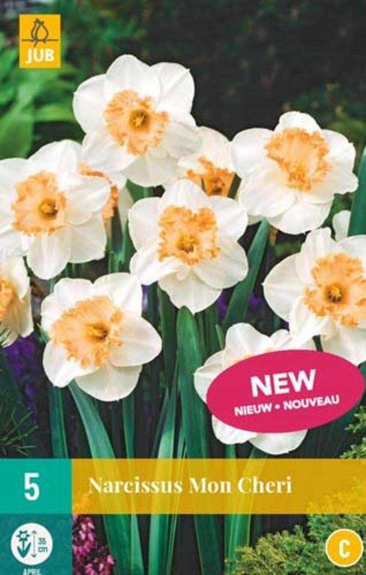 Daffodil Mon Cheri x 5