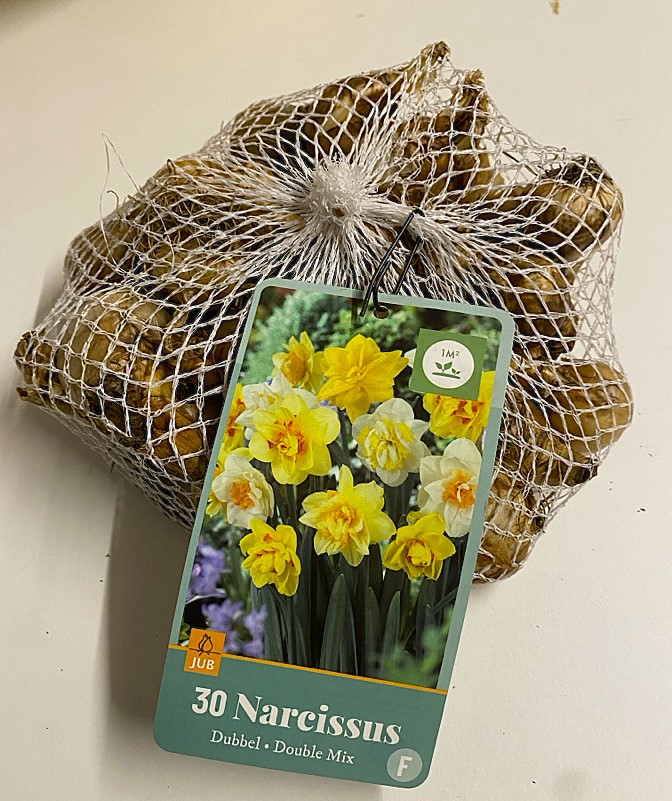 Daffodil Double Mix x 30 bulbs 