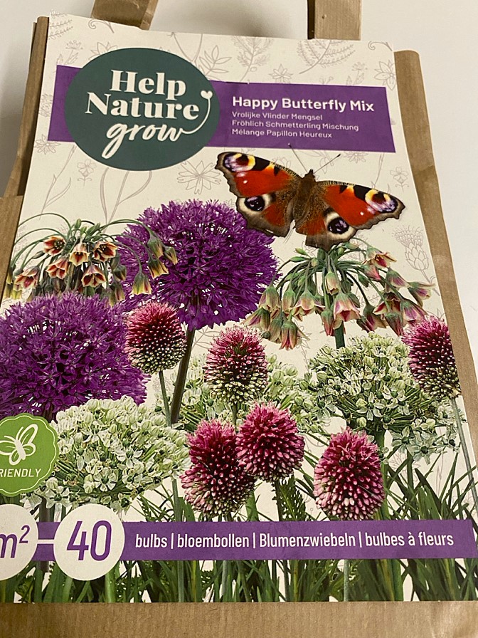Happy Butterfly Mix x 40 bulbs