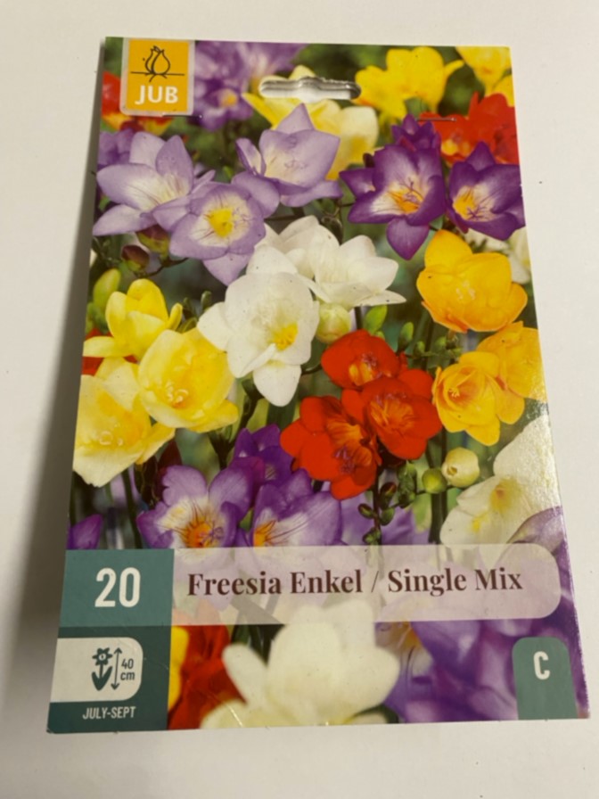 Freesia single mix x 20