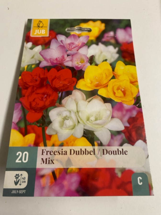 Freesia Double mix x 20
